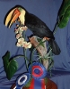 Toucan